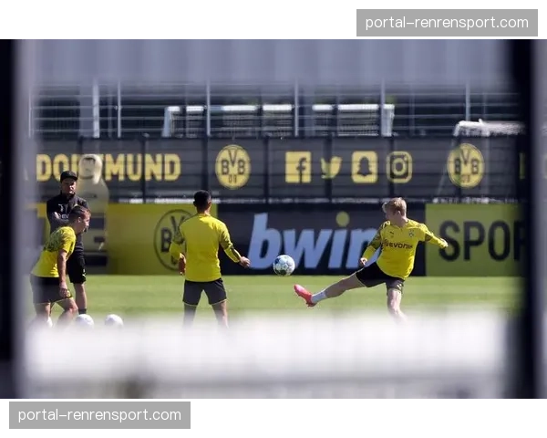 德国足球职业联盟建议，下赛季德甲将试点引进“蓝牌”制度